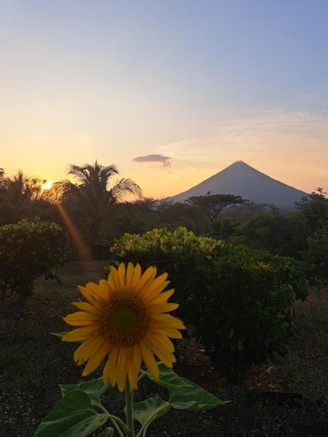 Hostel Santa Cruz Ometepe Altagracia Buitenkant foto